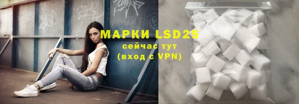 дживик Вяземский