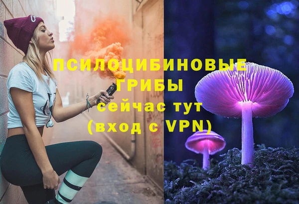 PSILOCYBIN Вязники