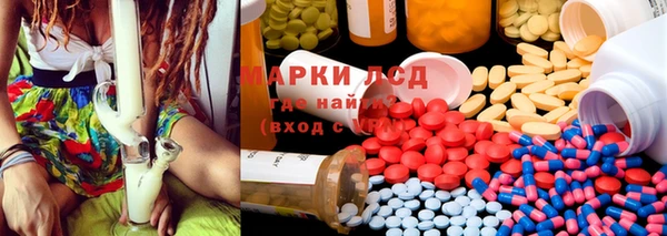 PSILOCYBIN Вязники