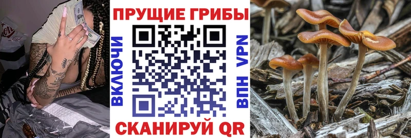 Галлюциногенные грибы Magic Shrooms  Гусиноозёрск 
